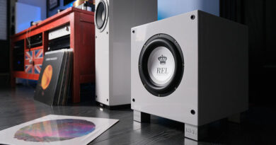 How to choose a subwoofer and install it correctly